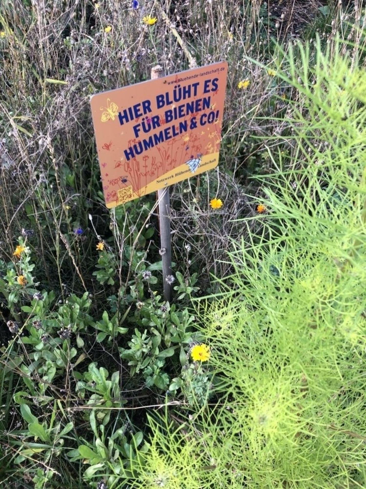 Meeresperle 6 Nordstern Klutz Eksteriør billede